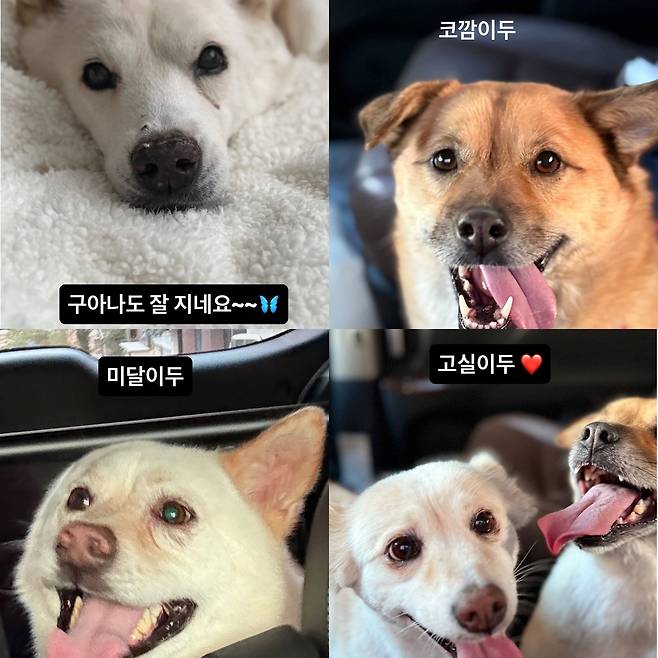이효리 인스타그램 캡처.