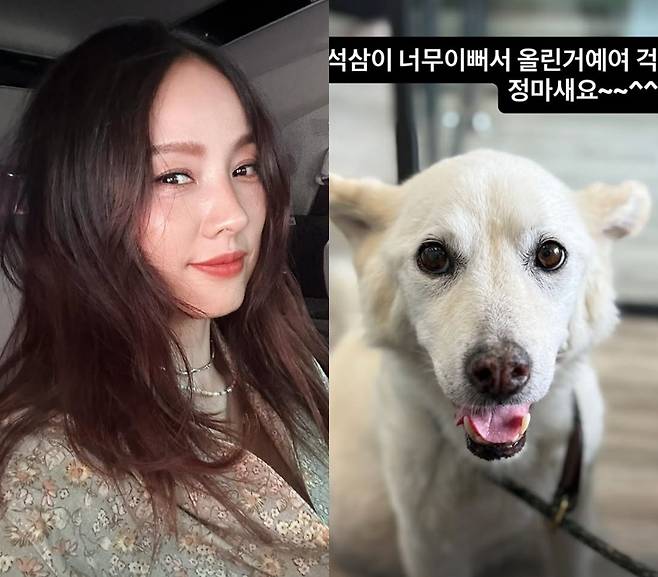 ▲ 출처|이효리 인스타그램