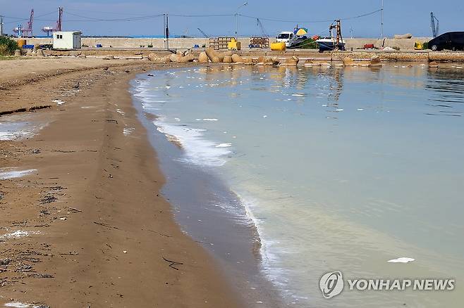 바다에 쌓인 거품 (포항=연합뉴스) 손대성 기자 = 23일 경북 포항시 북구 흥해읍 죽천리 하천에서 하얀색 거품과 침전물이 하류로 떠내려와 주변 바다에 쌓여 있다.
    포항시는 산성을 띤 이암이 많은 포항 지질 특성 때문에 발생한 일로 오염과 무관하다고 밝혔다. 2025.7.23 sds123@yna.co.kr