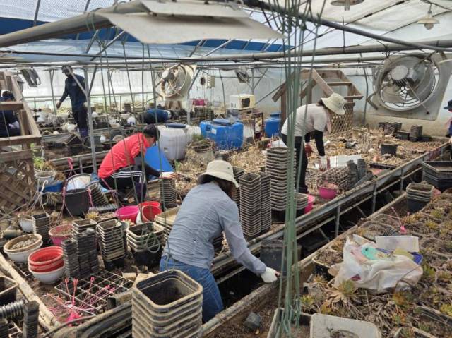 금산군 공직자, 서산시를 방문해 호우 피해 복구에 힘을 모았다. 사진=금산군