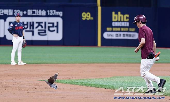 24일 서울 고척스카이돔에서 열린 키움과 롯데의 경기. 2회 경기 도중 그라운드에 나타난 비둘기. 고척=송정헌 기자songs@sportschosun.com/2025.07.24/