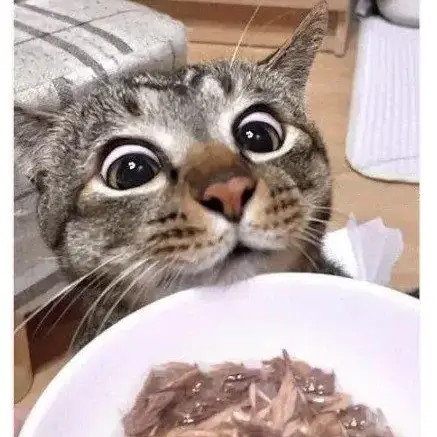 29e58524b3d03ef636ead2e4138727655d6a826de573b51cb08432df3e838a009dd64a4460db2a0ee82b576680be8ece2b