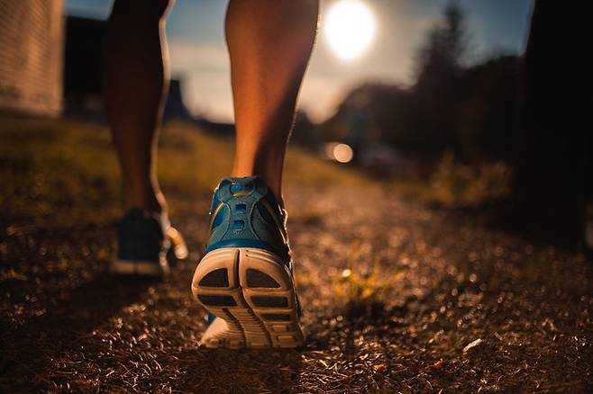 사진=게티이미지코리아.