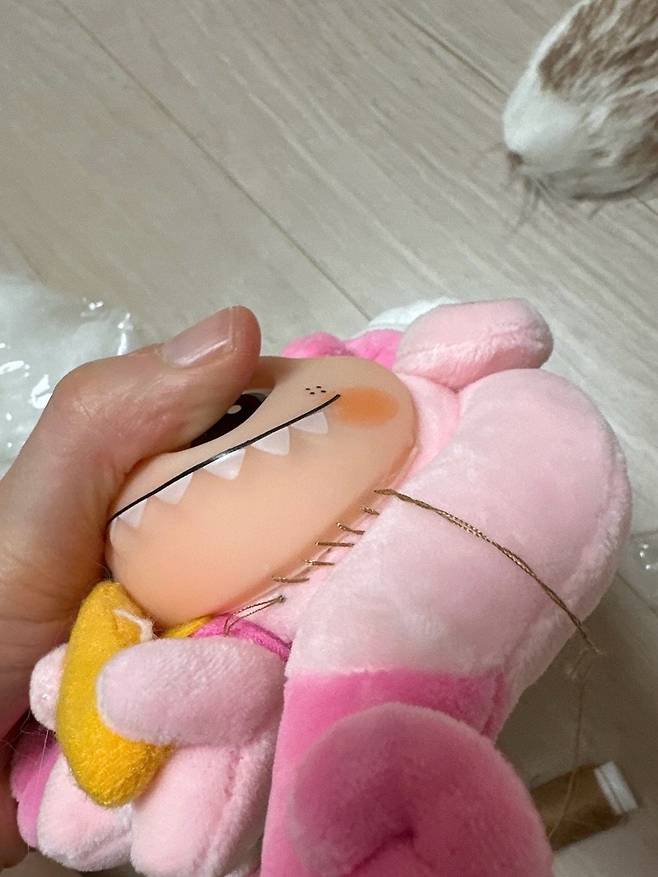 알리에서 라부부 산 사람...