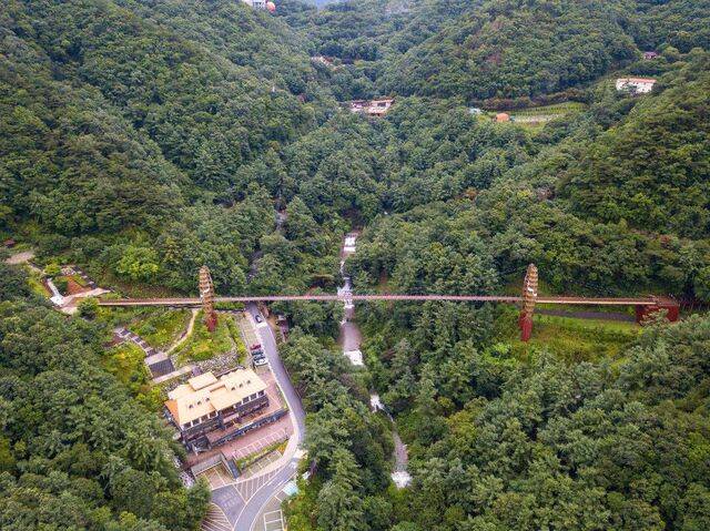충북 증평군 좌구산 명상구름다리가 길이 230m, 높이 50m 규모로 계곡을 가로지르며 아찔하게 걸쳐 있다. 다리 건너편 하트 조형물이 기념 사진 명소다.