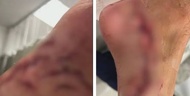 데일리메일 홈페이지 캡처.