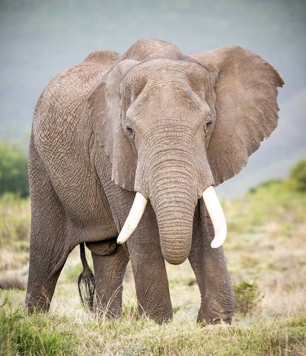 [출처=데일리메일]