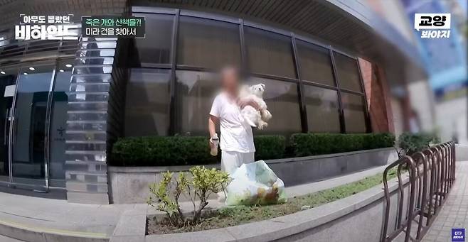 죽은 반려견을 품에 안고 매일 산책을 하는 여성의 사연이 공개됐다. 유튜브 채널 '교양 Voyage' 영상 캡처