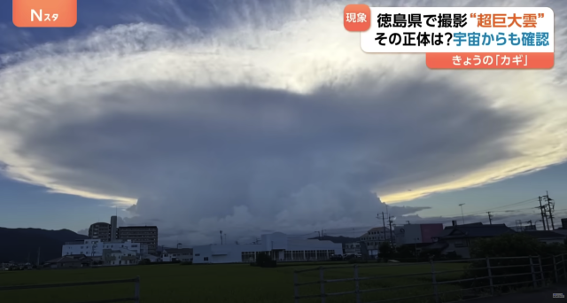 일본 TBS 방송 화면 캡처