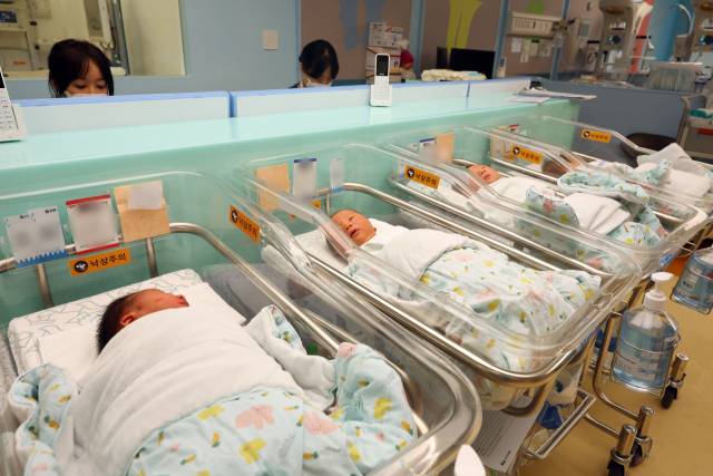 사진은 기사 내용과 무관함. 뉴스1