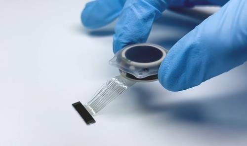 뉴럴링크의 뇌-컴퓨터 인터페이스(BCI) 칩 '텔레파시' 뉴럴링크 유튜브 캡처