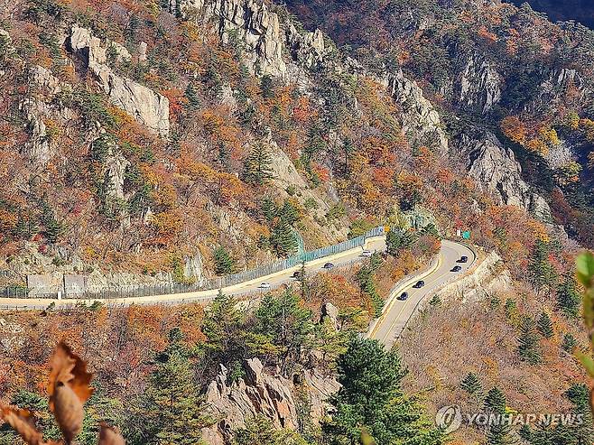 인제군 한계령 [인제군 제공. 재판매 및 DB 금지]