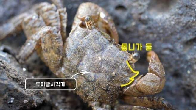 28b9d932da836ff33dec83e04f847c64053ef5bffe764684950603a7b5c247194f5e