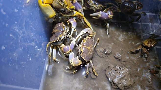 28b9d932da836ff33dec83ed4e897d6de02089324c0080bf1856d12a07a55569c0f9