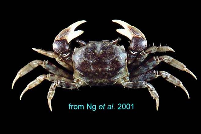 3fb8c32fffd711ab6fb8d38a47872c38d81abbeae757a1ed326c9605837fb4c6da5a1597c854b4568d8711