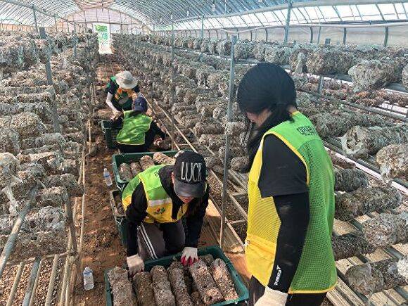 대전시, 충남 당진 수해피해지역에서 복구 봉사활동을 펼쳤다 [사진=대전시]