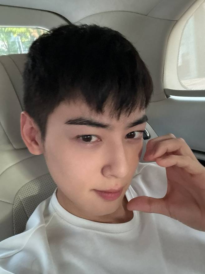 Astro Cha Eunwoo (Credit: Fantagio)