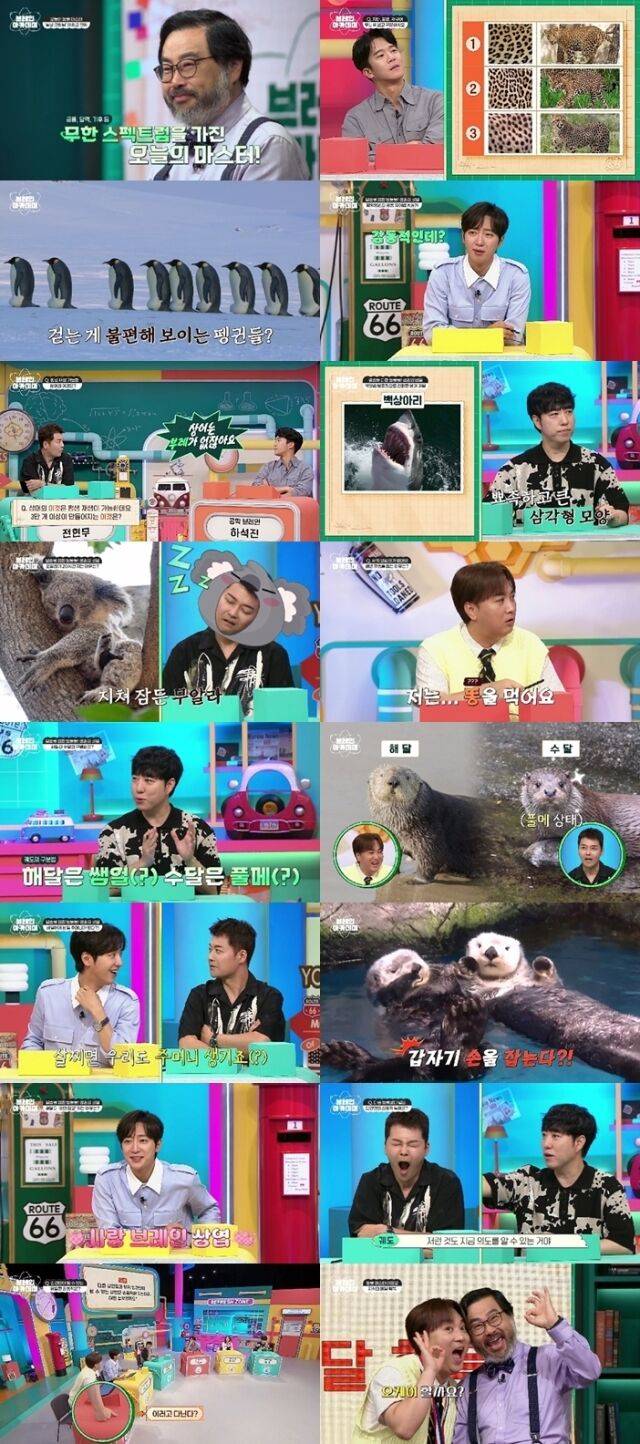 / 채널A ‘브레인 아카데미’