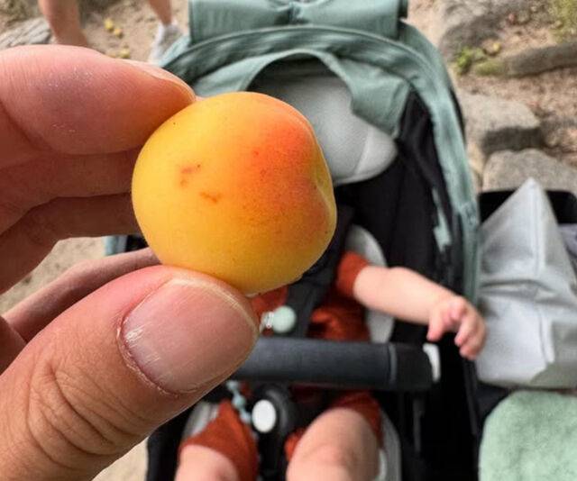 빈지노가 아들과 함께한 일상 사진을 올렸다. / 빈지노 소셜미디어