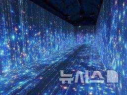 [김해=뉴시스]김해낙동강레일파크, 와인동굴. 뉴시스DB.  photo@newsis.com