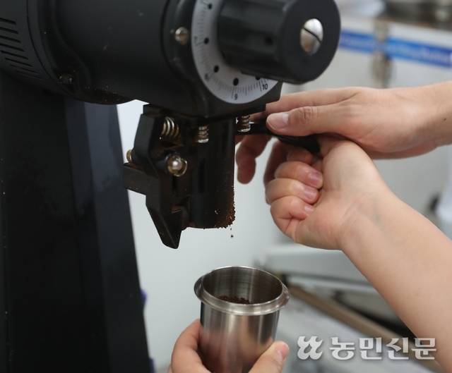 (3) 핸드드립에 알맞게 원두를 굵게 분쇄한다.