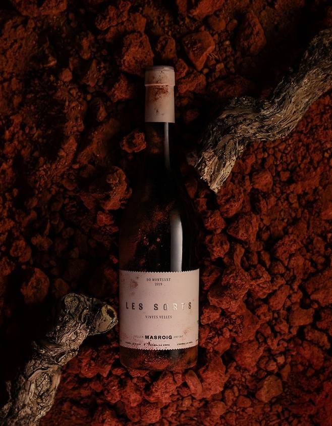 레스 소르츠 비녜스 베이예스(Les Sorts Vinyes Velles) . 인스타그램