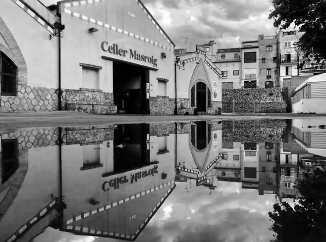 셀러 마스로이(Celler Masroig) 전경. 홈페이지