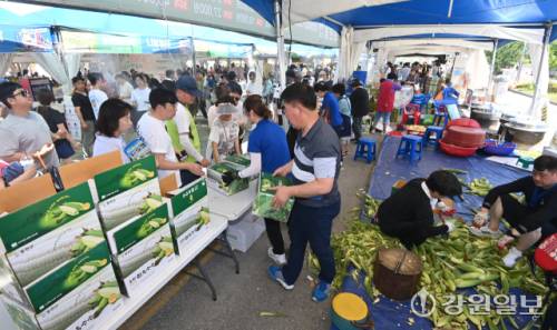 지난25일 개막해 27일까지 홍천종합운동장 주차장 일원에서 열린 제29회 홍천 찰옥수수축제장이 홍천 특산품인 찰옥수수를 구매하려는 관광객들로 북적이고 있다. 홍천=박승선기자
