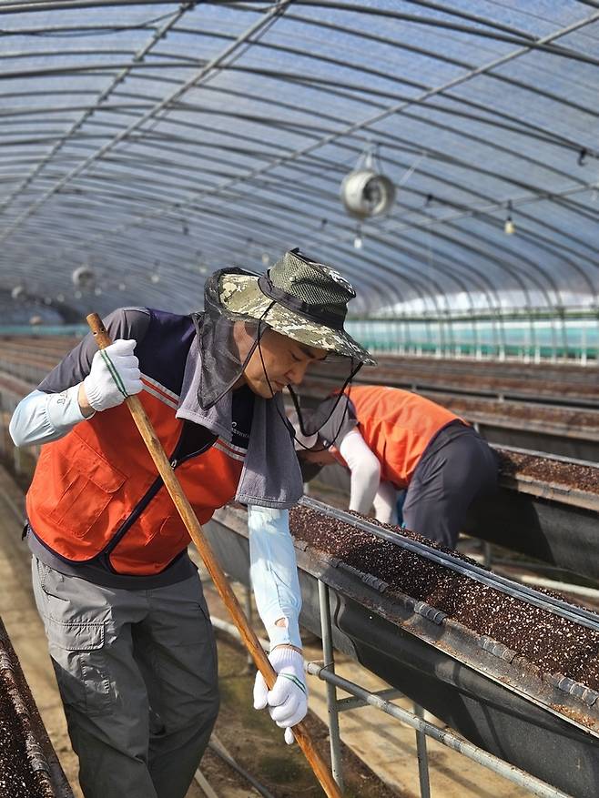 최재훈 달성군수가 26일 경남 합천군 가회면의 침수된 비닐하우스에서 수해 복구 작업을 하고 있다. <달성군 제공>