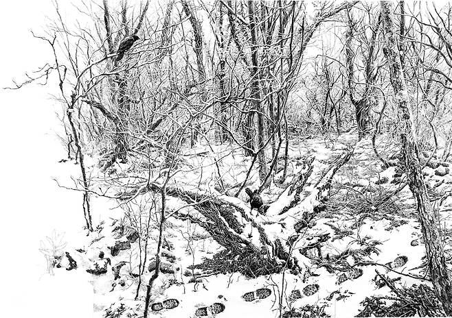 김영화,&nbsp; &nbsp;그 겨울로부터,&nbsp; &nbsp;2024,&nbsp; &nbsp;종이에 펜,&nbsp; &nbsp;112x300cm, 3폭 / 사진=제주갤러리