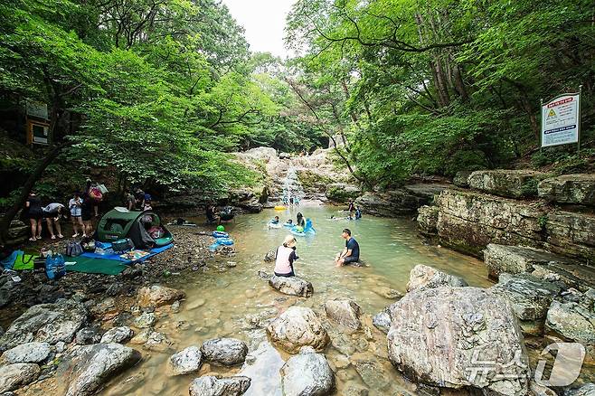 김해 장유 대청 계곡.(김해시 제공. 재판매 및 DB금지)