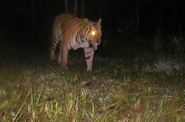 6.png 조선시대 산중살이가 빡센 이유.jpg