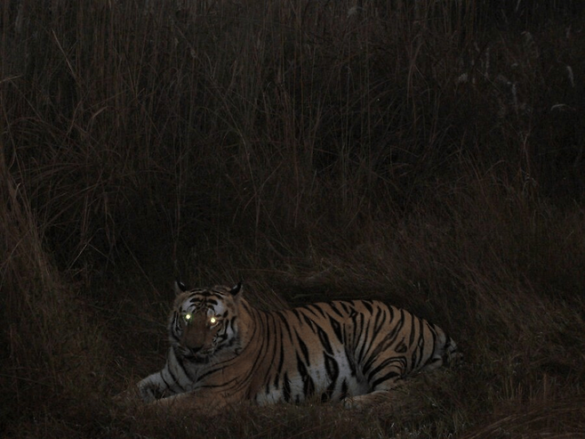 7.png 조선시대 산중살이가 빡센 이유.jpg
