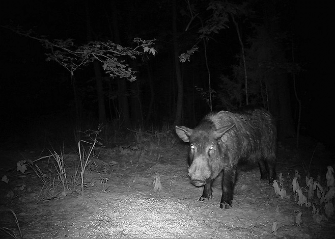 8.png 조선시대 산중살이가 빡센 이유.jpg