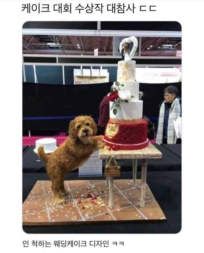 3554bbf7688f8f97dc5254bfc0f562b7.jpg 케이크 대회 수상작 대참사 ㄷㄷ.jpg