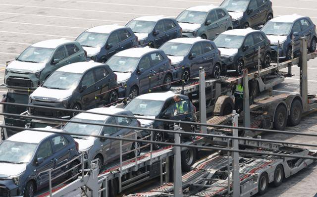 24알 경기 평택시 포승읍 평택항에 수출용 차량들이 세워져 있다. 평택=뉴스1