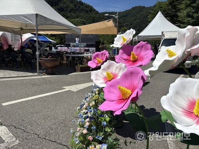 ▲ 홍천군은이 26일 북방면 무궁화수목원에서 ‘나라꽃 무궁화 홍천 축제’를 개최했다. 유승현 기자