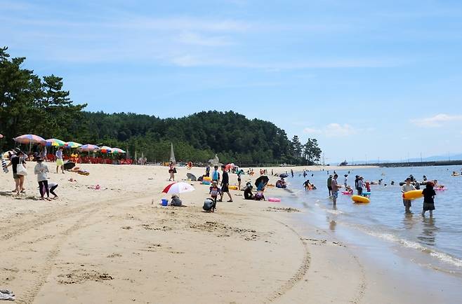 전남 보성 율포솔밭 해수욕장 / 사진 = 전남도