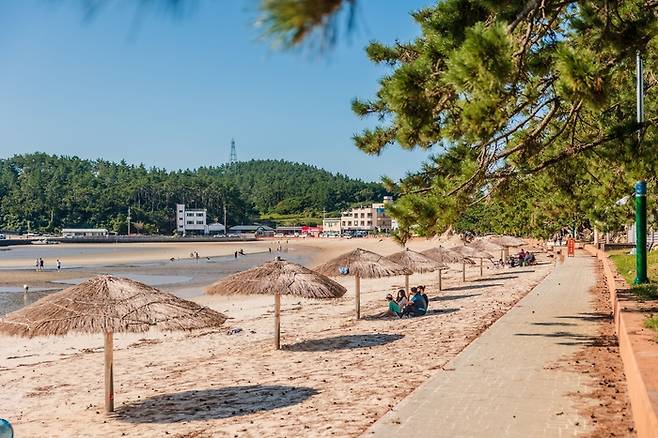 전남 해남 송호 해수욕장/ 사진 = 전남도