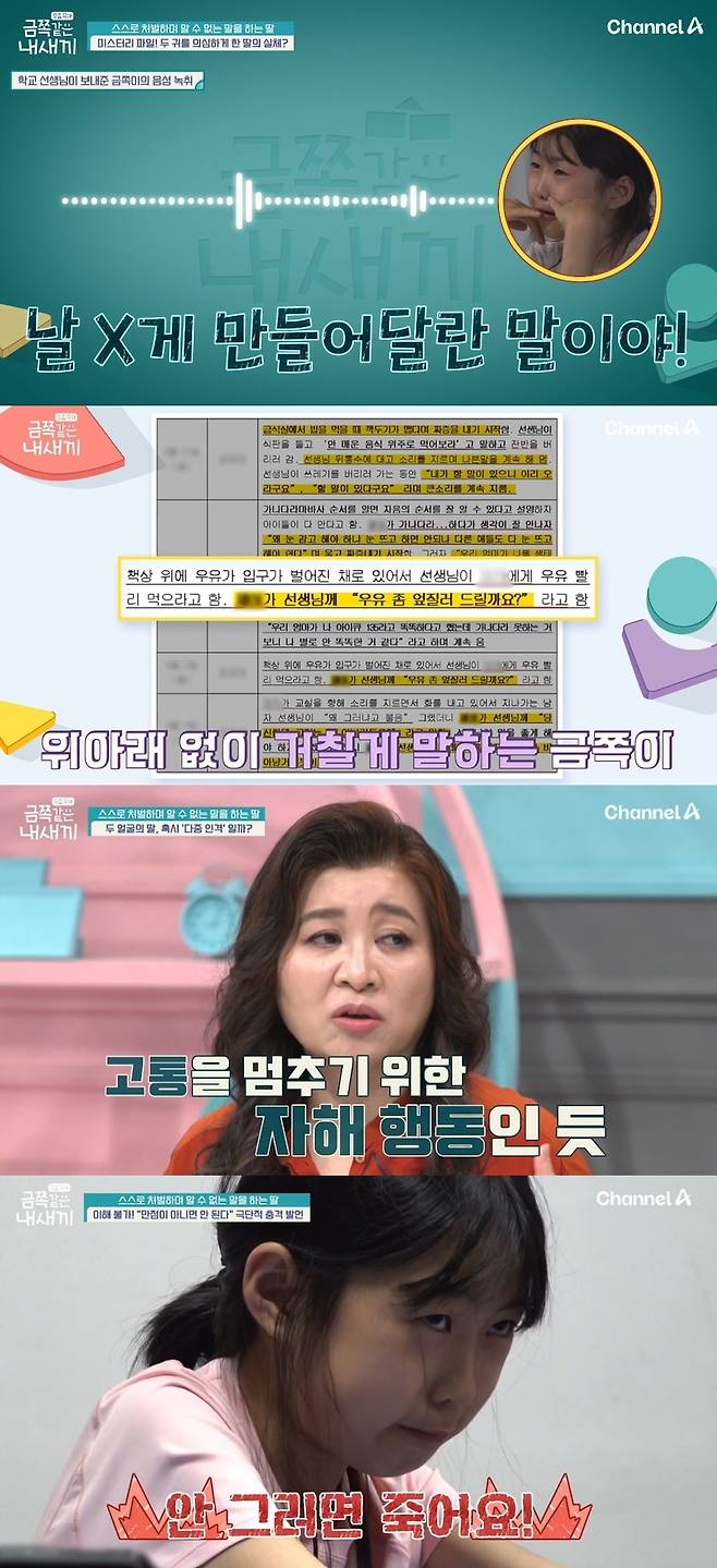 채널A 예능 ‘요즘 육아-금쪽같은 내 새끼’