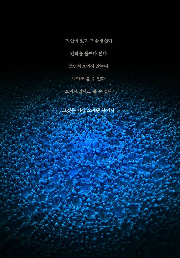 남궁환 ENTOPTIMA _ 별의 기억 _ Souffle _ 아트파크 설치 작품 2025  *재판매 및 DB 금지