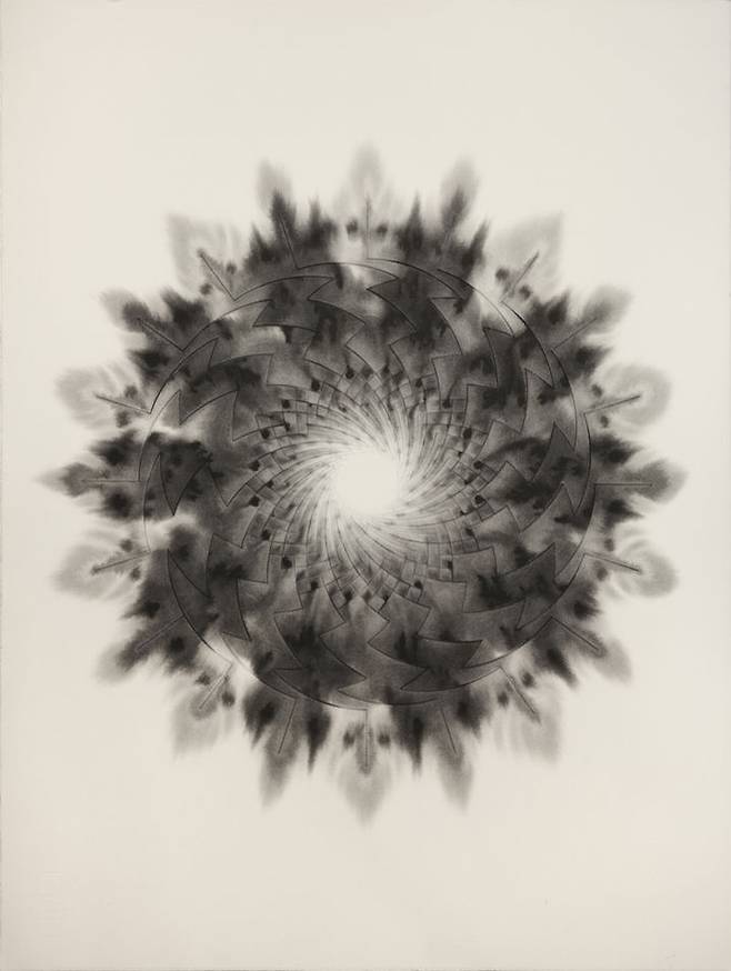 남궁환, Entoptima, 76x56cm, 2018,, ink on paper *재판매 및 DB 금지