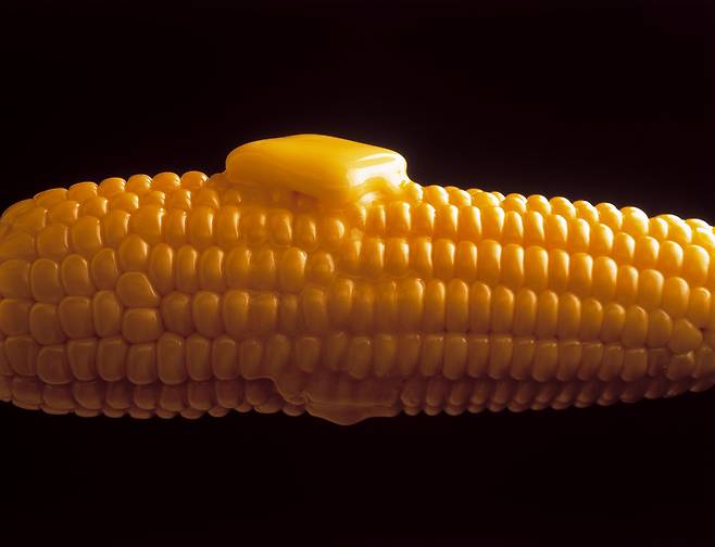 버터를 살짝 발라 구워낸 ‘버터옥수수구이’는 남녀노소 즐겨 찾는 휴게소 대표 메뉴다. 클립아트코리아 제공