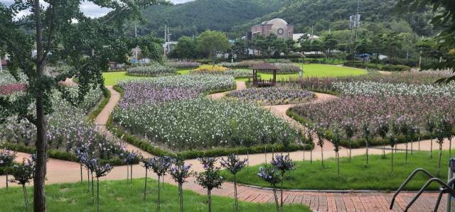 전남 장성 무궁화공원. 사진제공=산림청