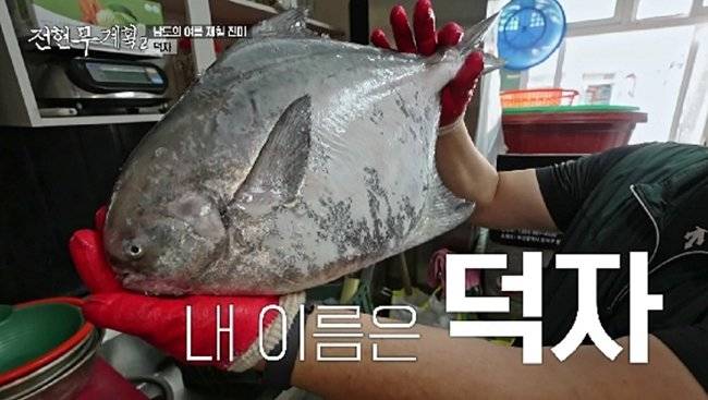 사진｜MBN·채널S