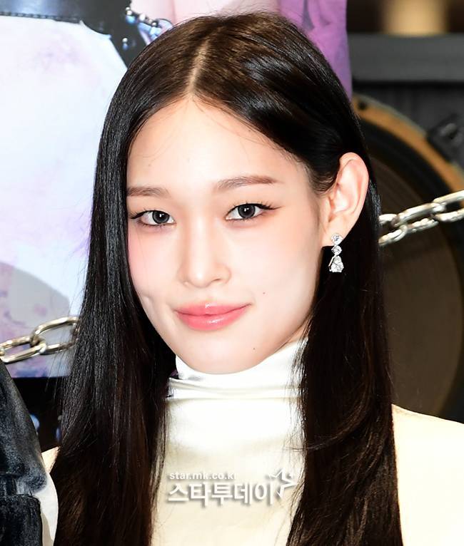 올데이프로젝트 애니. 사진|스타투데이DB