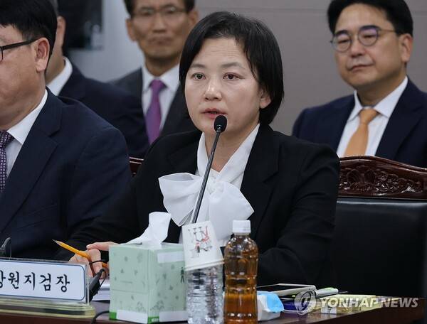 지난해 국회 법제사법위원회 국정감사에서 답변하는 정유미 창원지검장. /연합뉴스