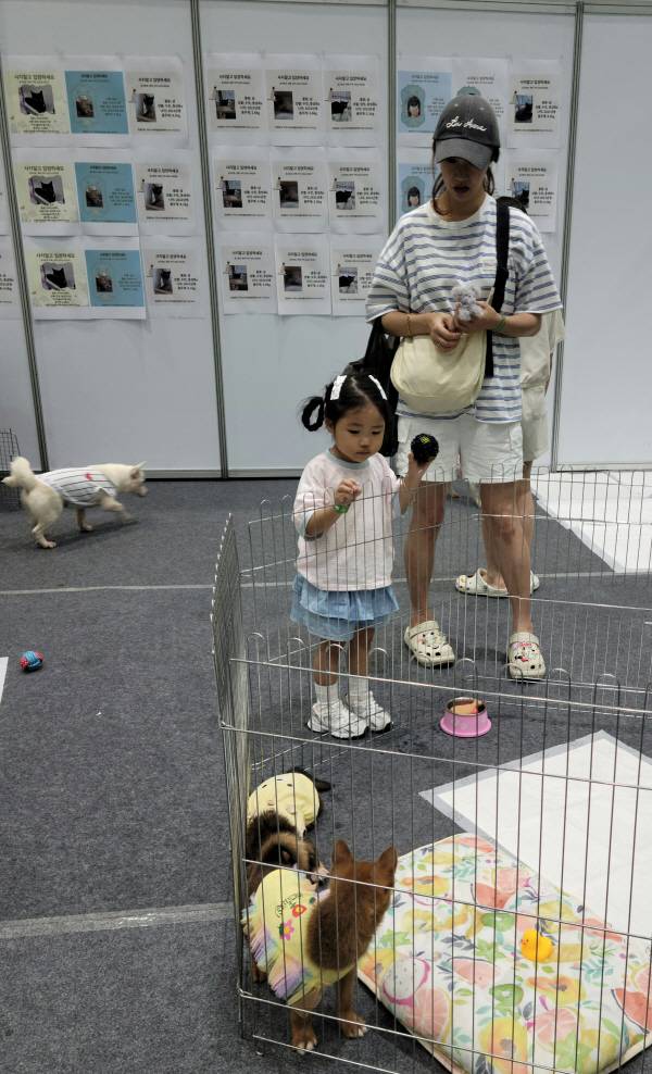 구미시 애니멀센터에서 운영하고 있는 유기견 보호소에 아이와 엄마가 유기견을 바라보고 있다. 이봉한 기자