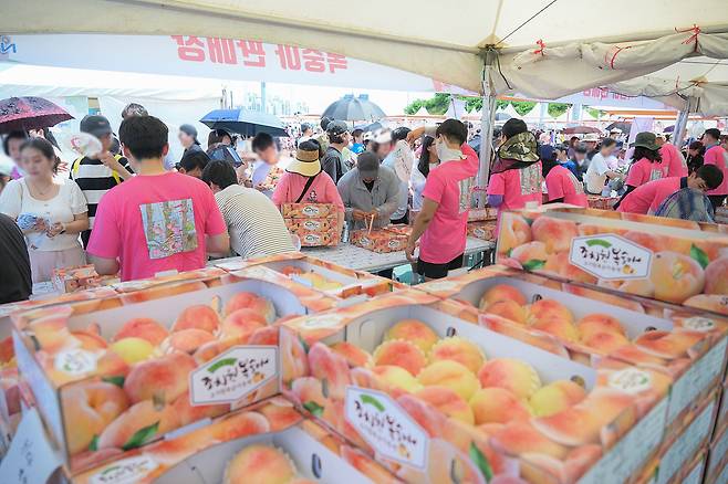 세종 조치원 복숭아축제 '복숭아 판매장. (세종시 제공. 재판매 및 DB금지)