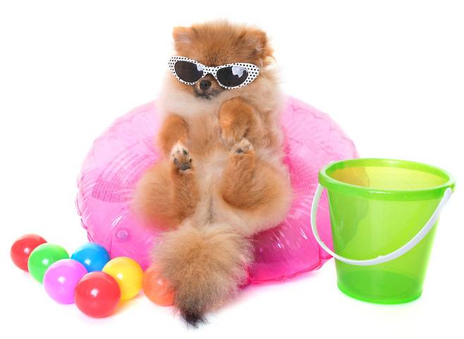 사진=게티이미지